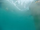 077-DSC06879.JPG.small.jpeg