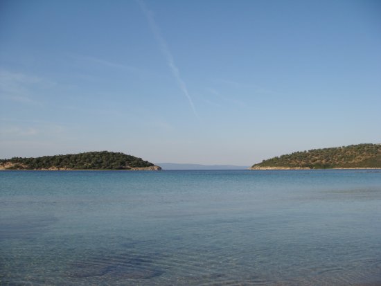 081-DSC06886.JPG.medium.jpeg
