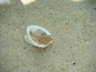 083-DSC06889.JPG.small.jpeg