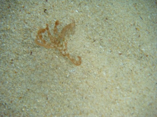 085-DSC06891.JPG.medium.jpeg