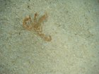085-DSC06891.JPG.small.jpeg