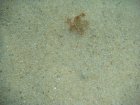 086-DSC06892.JPG.small.jpeg
