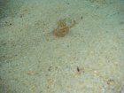 087-DSC06893.JPG.small.jpeg