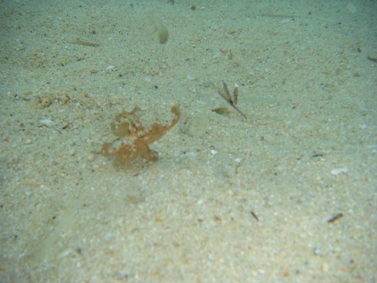 088-DSC06894.JPG.medium.jpeg