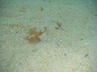 088-DSC06894.JPG.small.jpeg