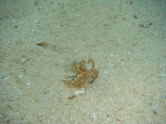 089-DSC06895.JPG.medium.jpeg