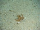 089-DSC06895.JPG.small.jpeg