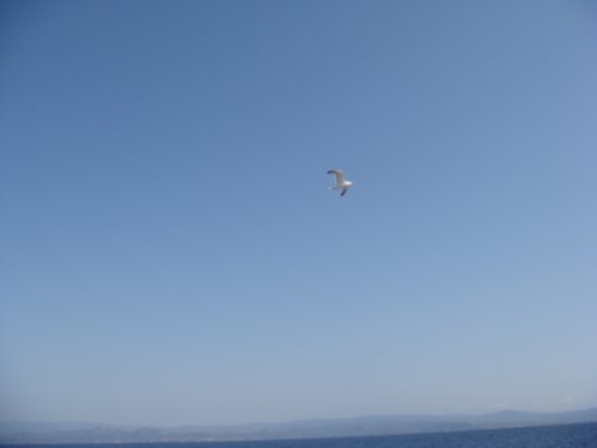 117-DSC06923.JPG.medium.jpeg