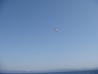 117-DSC06923.JPG.small.jpeg