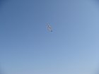 118-DSC06924.JPG.small.jpeg