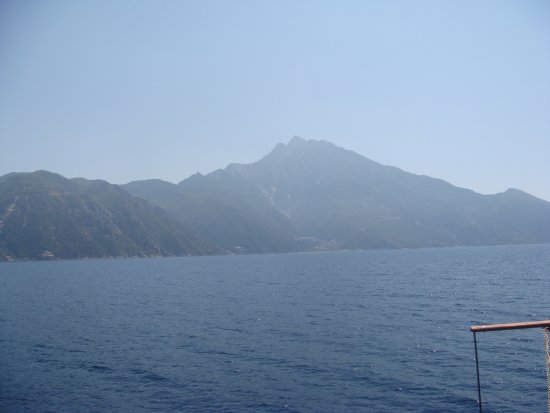 135-DSC06941.JPG.medium.jpeg