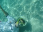 206-DSC07012.JPG.small.jpeg