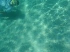 227-DSC07033.JPG.small.jpeg