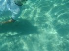 228-DSC07034.JPG.small.jpeg