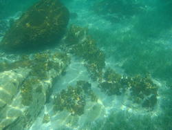 DSC00434.JPG