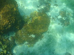 DSC00435.JPG