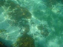 DSC00436.JPG