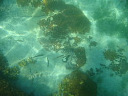 DSC00437.JPG