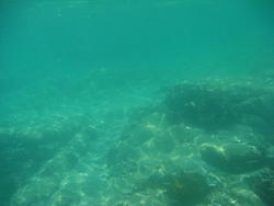 DSC00438.JPG