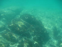 DSC00439.JPG