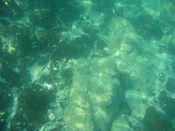 DSC00440.JPG