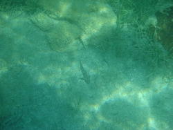 DSC00443.JPG