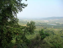 DSC03182.JPG