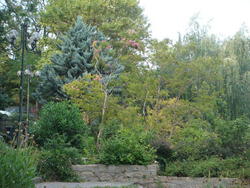 DSC03185.JPG