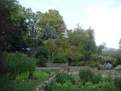 DSC03186.JPG
