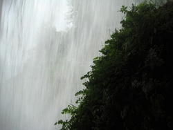 DSC03218.JPG