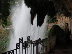 DSC03221.JPG