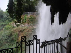 DSC03222.JPG