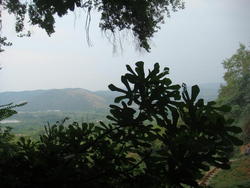 DSC03223.JPG