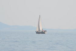 DSC_6464.JPG