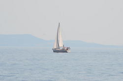 DSC_6465.JPG
