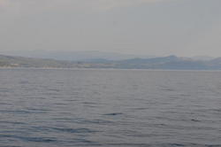 DSC_6466.JPG