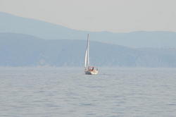 DSC_6467.JPG