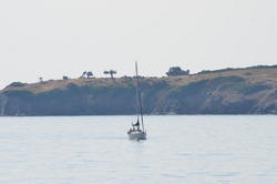 DSC_6472.JPG