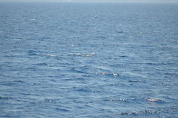 DSC_6939.JPG