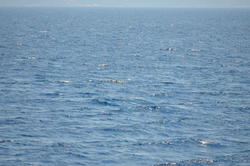 DSC_6940.JPG