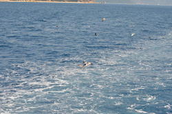 DSC_6942.JPG