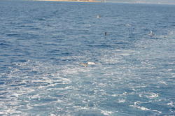 DSC_6943.JPG