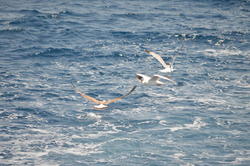 DSC_6944.JPG
