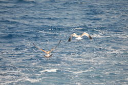 DSC_6945.JPG