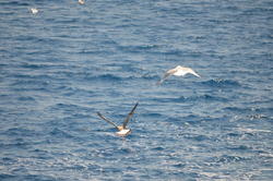 DSC_6946.JPG