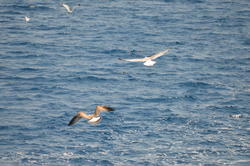 DSC_6947.JPG
