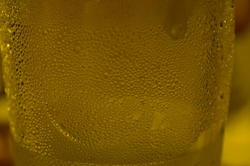 DSC_7077.JPG