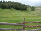 053-DSC08109.JPG.small.jpeg