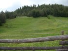 054-DSC08110.JPG.small.jpeg