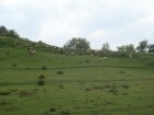 057-DSC08113.JPG.small.jpeg
